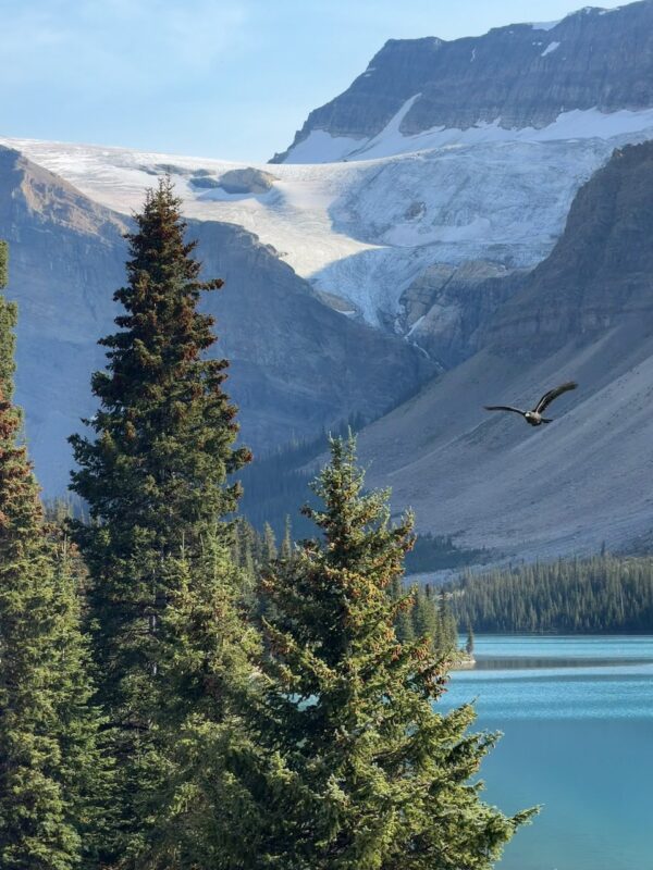 PlanetSKI's Autumn Alberta road trip. Image © PlanetSKI